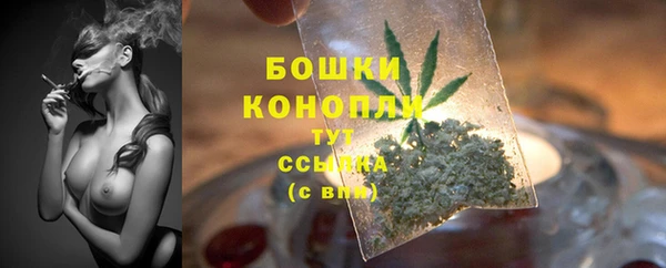 apvp Инта