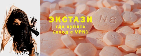 ECSTASY Инсар