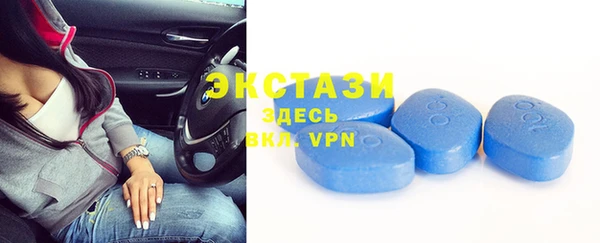 ECSTASY Инсар