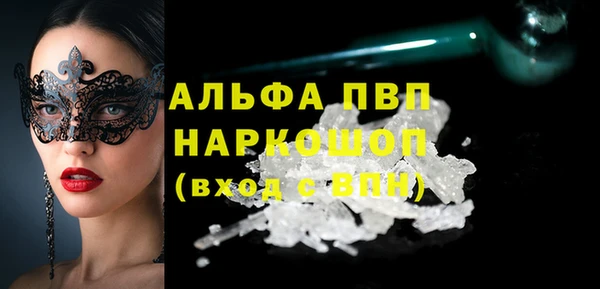 apvp Инта