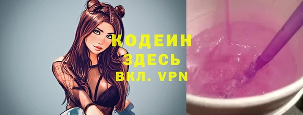 ECSTASY Инсар