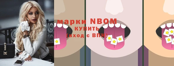 apvp Инта