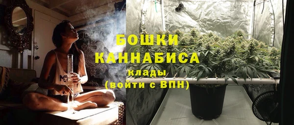 apvp Инта