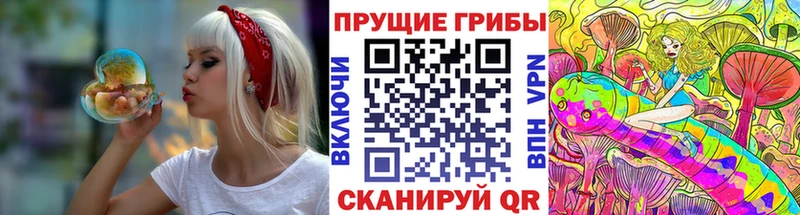 Галлюциногенные грибы мухоморы  Купить закладки  Заринск 
